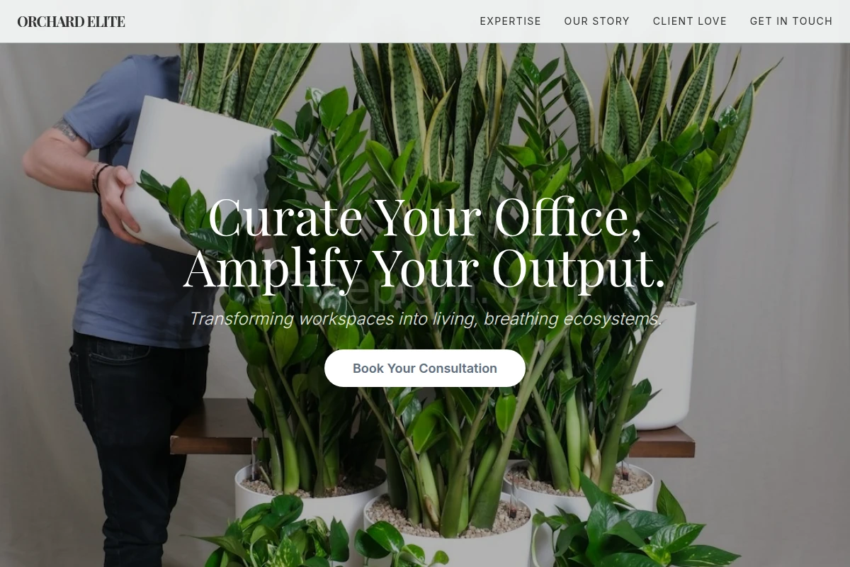 office-plants
